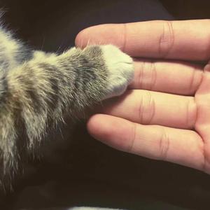 2022年一级A片免费观看
