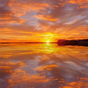 2022年一级A片免费观看
