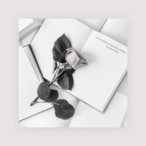 2022年一级A片免费观看
